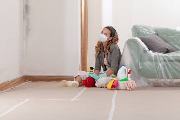 Reliable Crawl Space Mold Remediation contractor in Mendham, NJ by 24 Hour Mold Removal